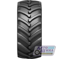 800/65 R32 Б/К Bel-141 178A8 (Беларусь)